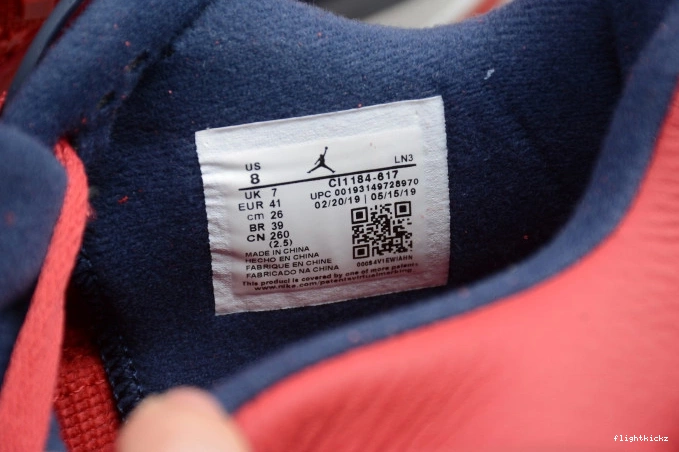 Jordan CI1184-617 SE 4 Air FIBA 1006